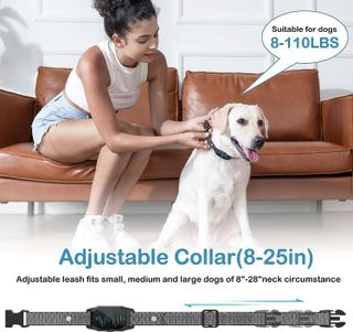 No. 4 - Dog Training Collar for Large Dogs - 2