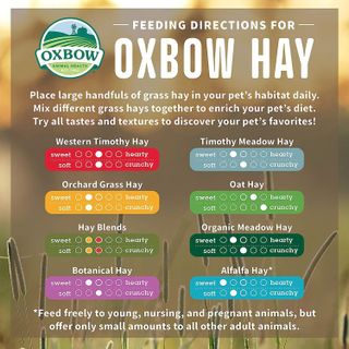 No. 10 - Oxbow Animal Health Alfalfa Hay - 5