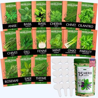 Top 10 Best Organic Herb Seeds for Indoor and Outdoor Planting- 2