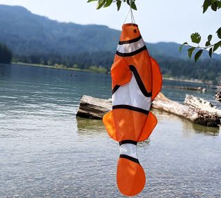 No. 8 - Madrona Brands Orange Clown Fish Windsock - 3