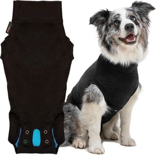 Top 10 Stylish Dog Dresses That Your Pup Will Love- 1