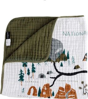 No. 6 - National Parks Quilt - 2