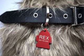 No. 2 - Pet ID Tags - 2