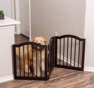 No. 8 - Arched Top Dog Gate - 2