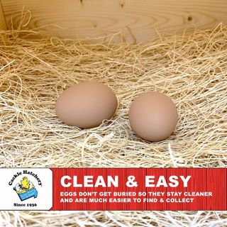 No. 4 - Cackle Hatchery Laying Hen Nest Box Pads - 2