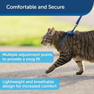 No. 9 - PetSafe Come With Me Kitty Harness and Bungee Leash - 3