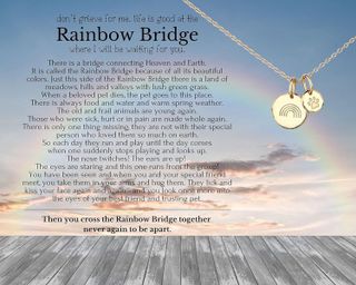 No. 9 - HOPE LOVE SHINE Rainbow Bridge Pet Memorial Necklace - 4