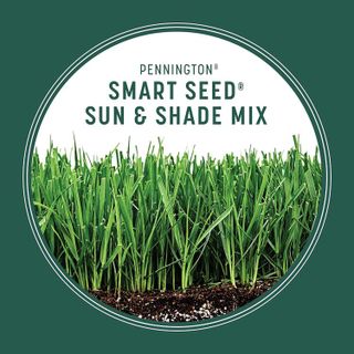 No. 7 - Pennington Smart Seed Sun and Shade Grass Mix - 5