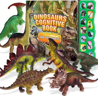 No. 9 - IVOXEX Dinosaur Audiobook and Figures - 1