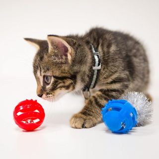 No. 4 - Hartz Catnip Toy Set - 4