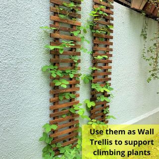 No. 3 - ShopLaLa Wall Planter - 4