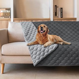 Top 10 Best Dog Bed Covers for Protecting Furniture- 3
