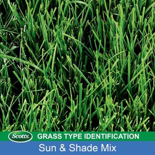 No. 1 - Scotts Turf Builder Grass Seed Sun & Shade Mix - 5