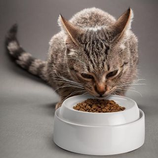 No. 6 - CatGuru Cat Bowls - 5