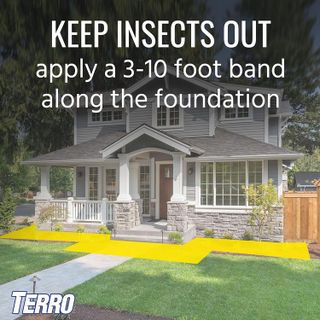 No. 7 - TERRO T901-6 Ant Killer Plus Multi-Purpose Insect Control - 3