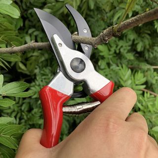 No. 1 - Gonicc Bonsai Cutters - 5