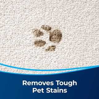 No. 10 - OxyPro Pet Carpet Spot & Stain Remover - 5