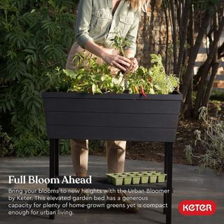 No. 10 - Urban Bloomer Elevated Garden Bed - 2