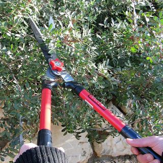 No. 7 - TABOR TOOLS B620A Hedge Clippers - 3
