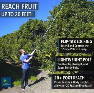 No. 3 - EVERSPROUT 12-Foot Fruit Picker - 4