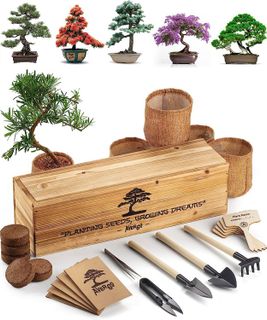 No. 2 - Bonsai Tree Kit - 1