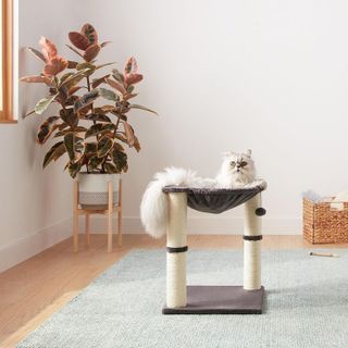 No. 7 - Amazon Basics Cat Tower - 4