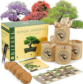 No. 2 - NIFSEL Bonsai Tree Kit - 1