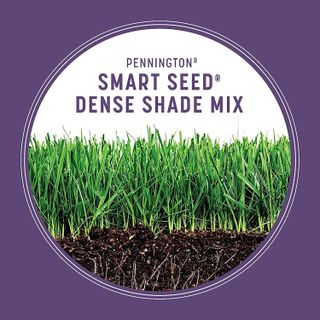 No. 9 - Pennington Smart Seed Dense Shade Grass Mix - 5