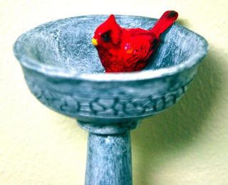 No. 10 - Cardinal Birdbath - 3