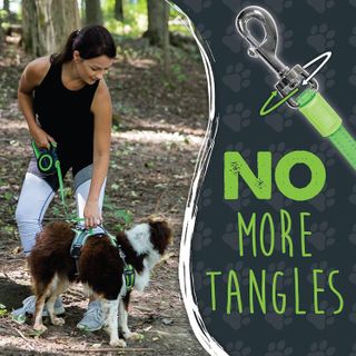 No. 8 - Mighty Paw Retractable Dog Leash 2.0 - 5