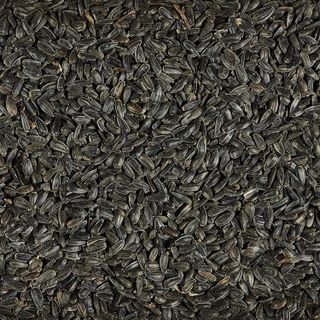 No. 6 - Kaytee Wild Bird Black Oil Sunflower Food - 4