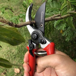 No. 1 - Gonicc Bonsai Cutters - 4