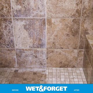 No. 8 - Wet & Forget Shower Cleaner - 5