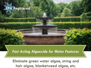 No. 5 - Fountain Algae Control Solution - 2