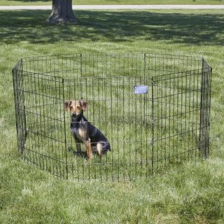 No. 6 - MidWest Foldable Metal Dog Exercise Pen - 2