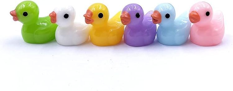 No. 6 - Mini Resin Ducks - 5
