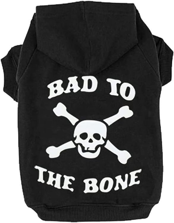 No. 9 - EXPAWLORER Dog Hoodie - 1