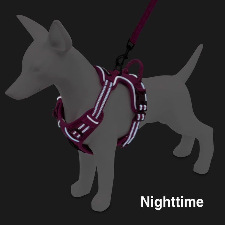 No. 10 - Voyager Dog Harness - 5