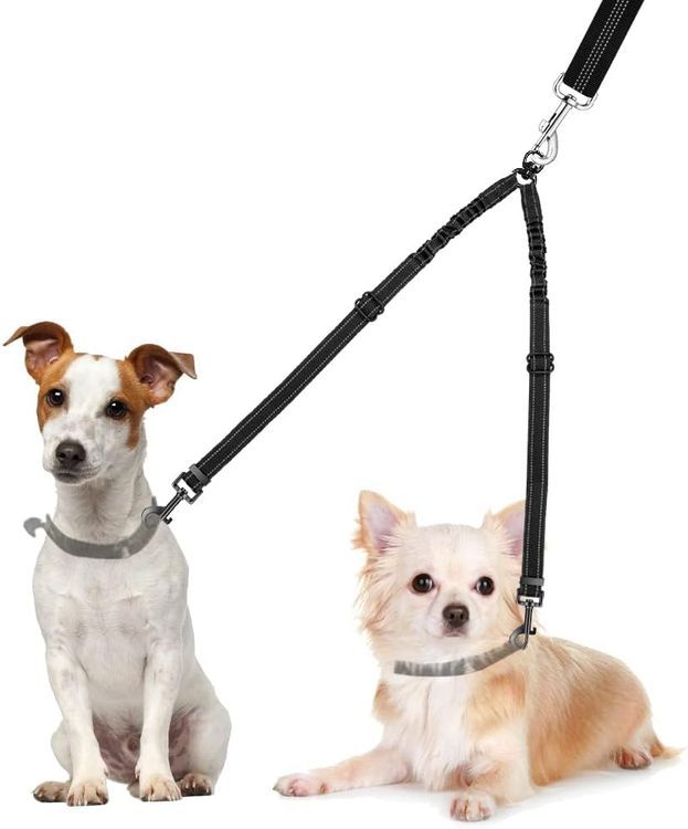 No. 2 - AUTOWT Double Dog Leash - 1