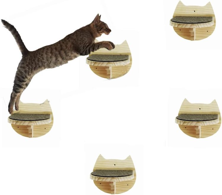 No. 4 - SHENGOCASE 5-Pack Cat Wall Steps Shelf Shelves - 1