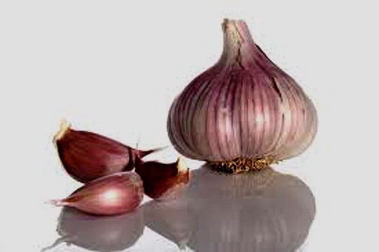 No. 1 - Country Creek Acres Garlic Bulbs - 3