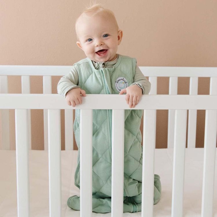 No. 1 - DREAMLAND BABY Sleep Sack - 3