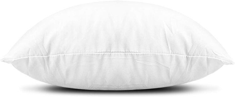 No. 10 - EDOW Throw Pillow Insert - 2