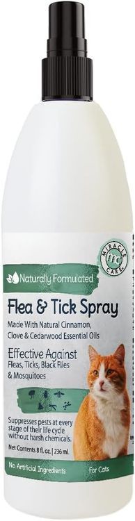 No. 4 - Natural Flea Spray for Cats - 1