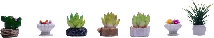 No. 7 - Togudot Miniature Potted Plants - 3