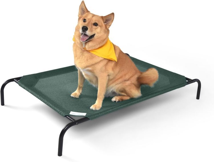 No. 10 - Coolaroo Elevated Dog Bed - 1