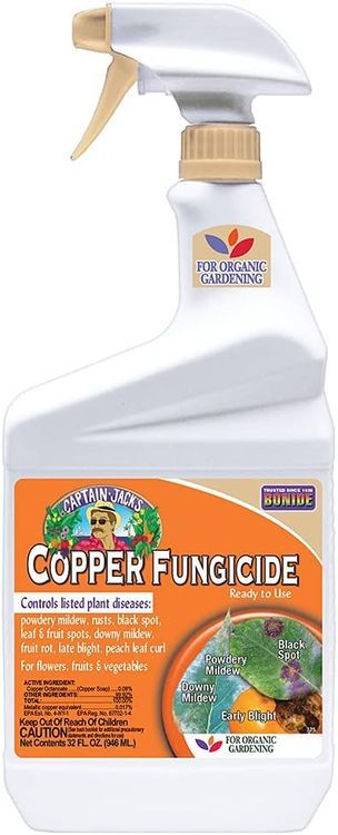 No. 9 - Bonide Captain Jack's Copper Fungicide - 1