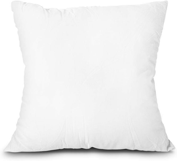 No. 10 - EDOW Throw Pillow Insert - 1