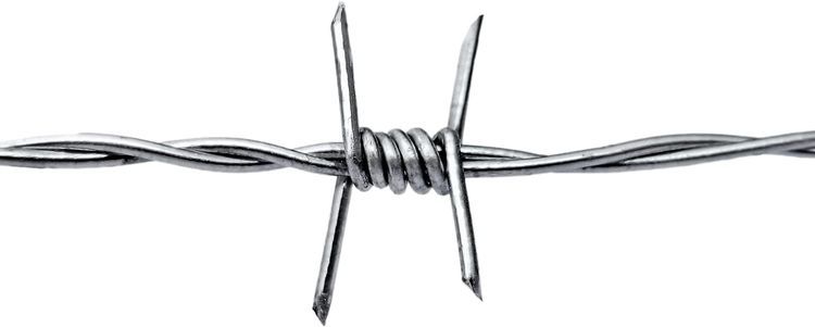 No. 7 - Real Barbed Wire - 2