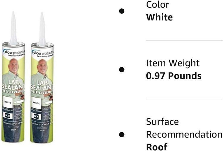 No. 8 - Dicor 501LSW Self-Leveling Lap Sealant - 2